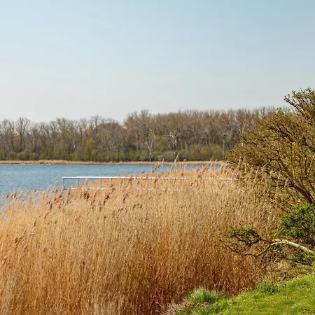 Haffplatz 10 アパート